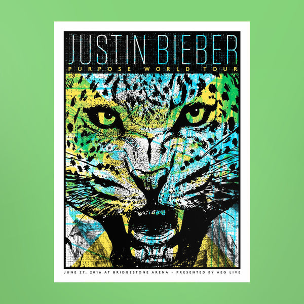 Justin Bieber - Bridgestone Arena (6/27/16) – Friendly Arctic